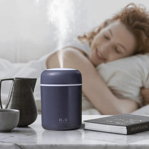 Sleep Ease Humidifier